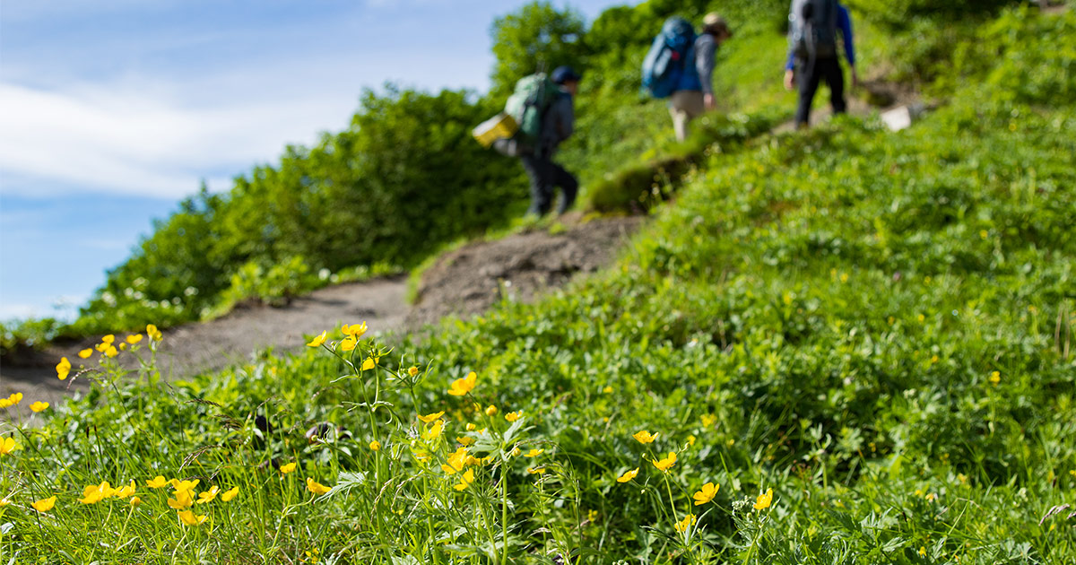 着替えなくても大丈夫 ベタベタさようなら 登山の汗ケア 国産アウトドアブランドのファイントラック