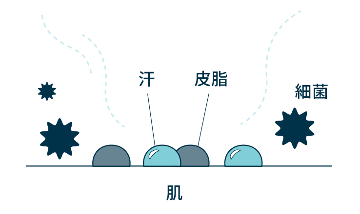 図解：汗と皮脂と細菌の肌表面での様子