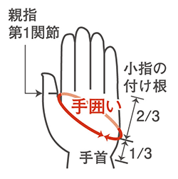 手囲いの参考イメージ