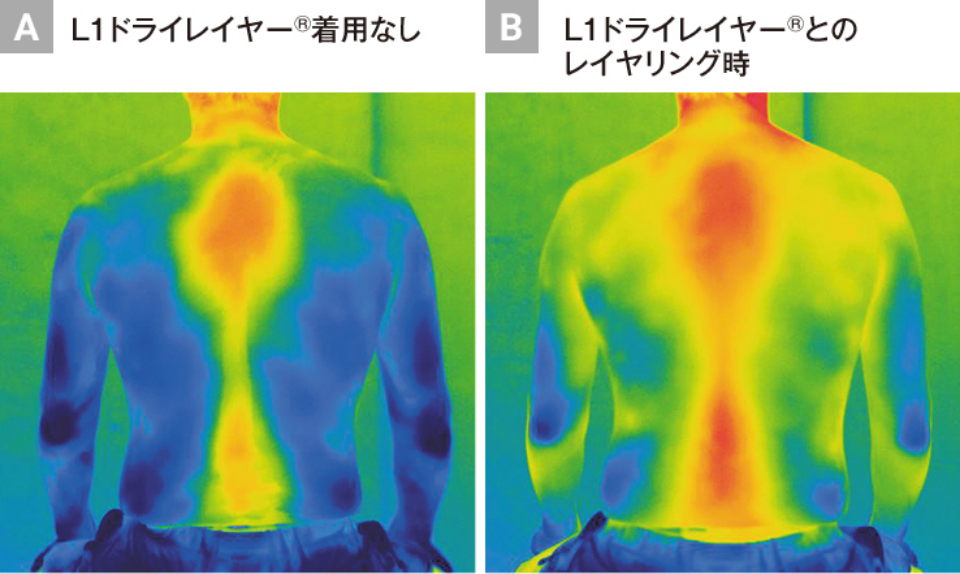 サーモグラフィーでみる体温変化