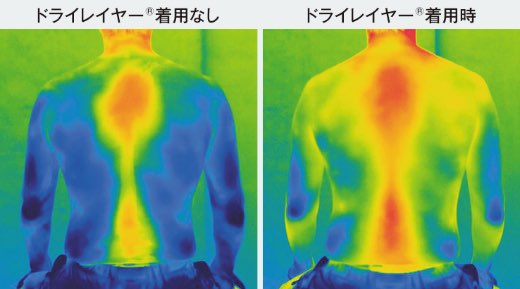 サーモグラフィ試験が示す体温変化