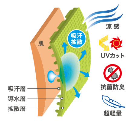 ドラウト構造生地の概念図