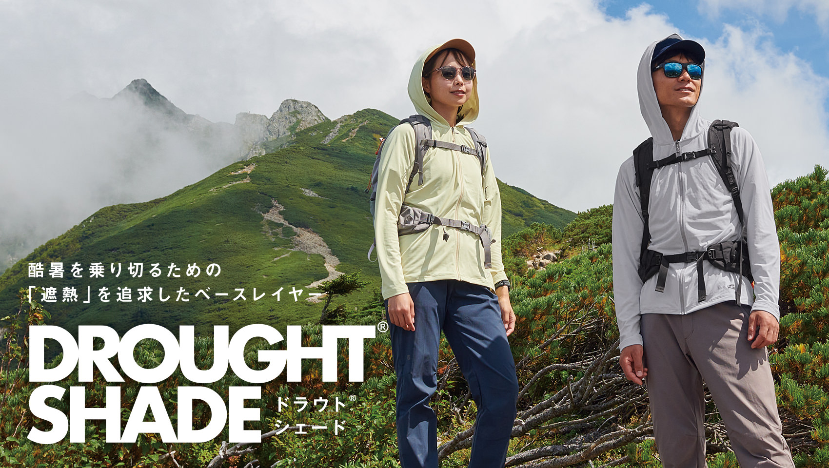 ドラウトシェードKV