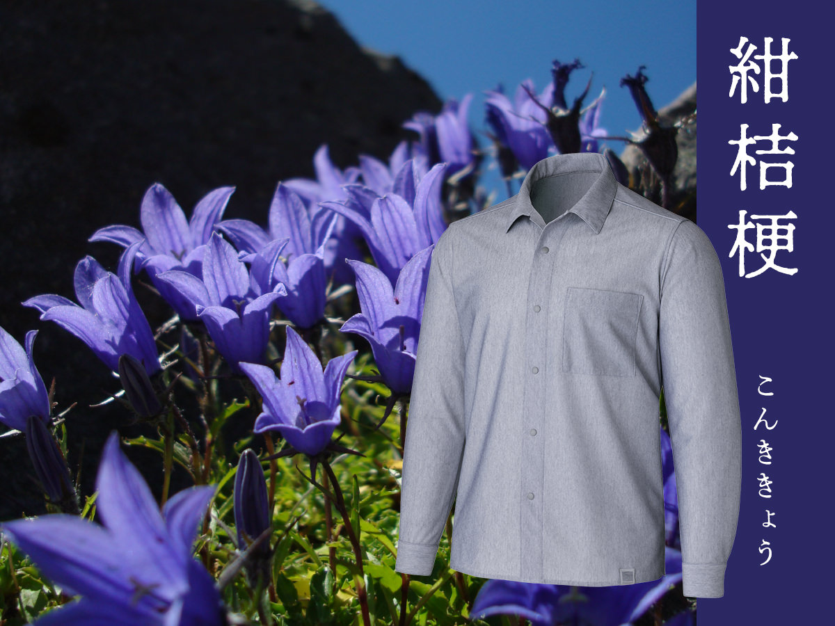紺桔梗