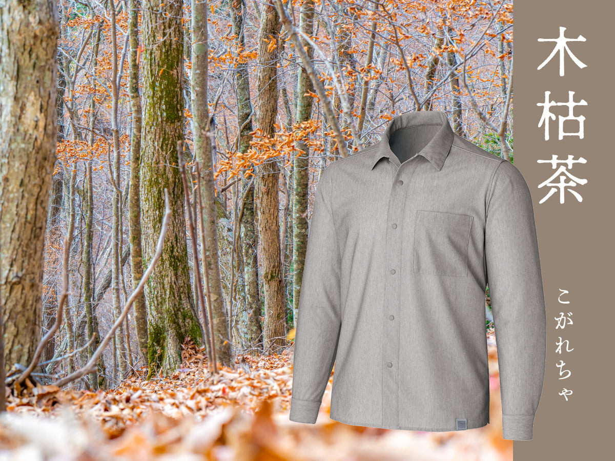 木枯茶