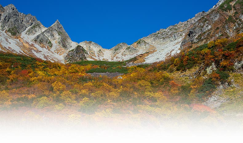 写真:ドラウトクローイメージ