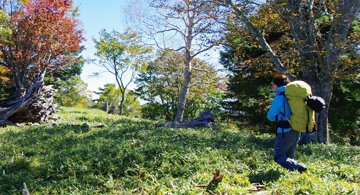 登山に最適なミッドシェル