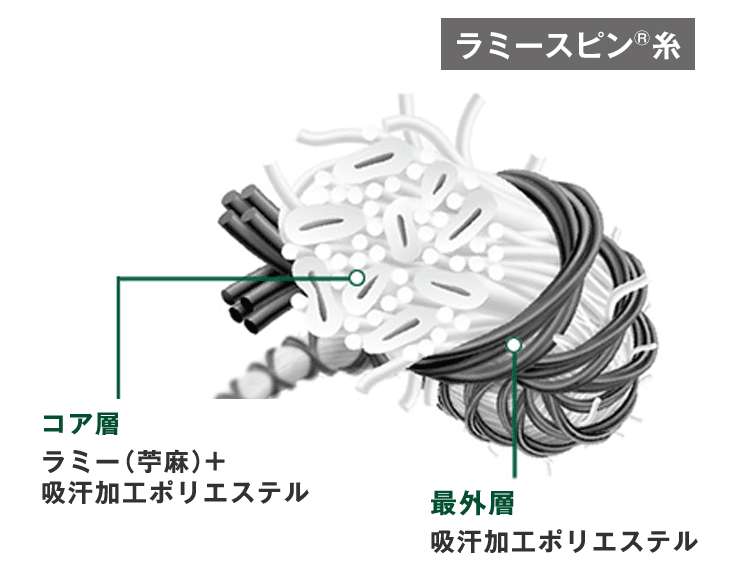 ラミースピン糸構造図