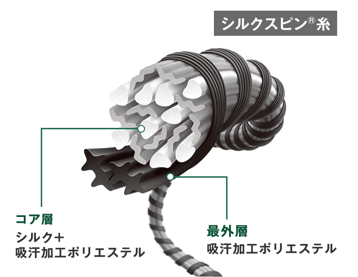 シルクスピン糸構造図