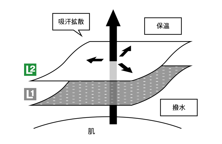 図：ドライレイヤーの上にベースレイヤーをレイヤリングした時の吸汗拡散のイメージ