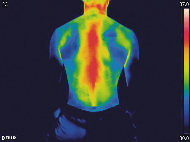 写真：サーモグラフィによる体温変化の様子