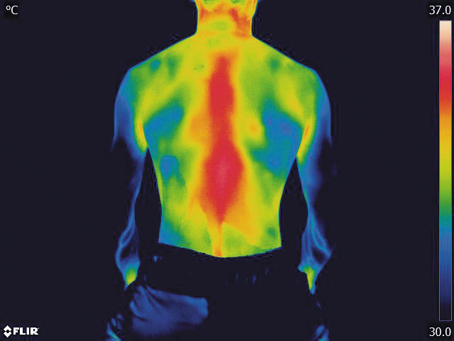 写真：サーモグラフィによる体温変化の様子
