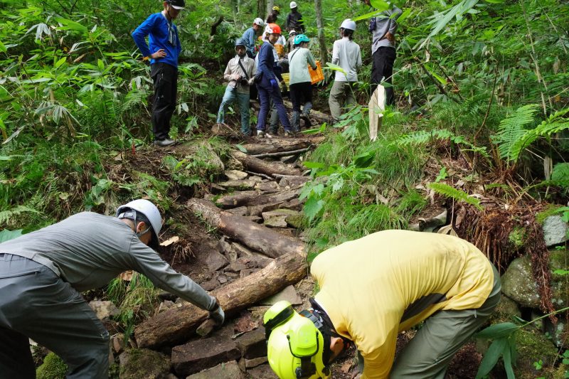 倒木や石を活かした登山道整備の様子